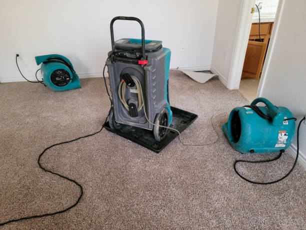 Best Professional water damage repair  in Fallon, NV