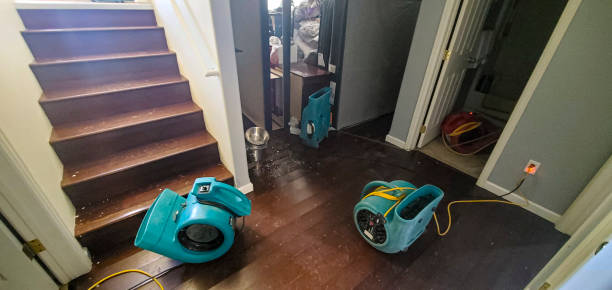 Best Water damage restoration insurance claims  in Fallon, NV