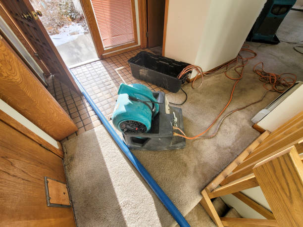  Fallon, NV Water damage restoration Pros
