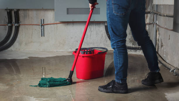 Water damage restoration insurance claims in Fallon, NV