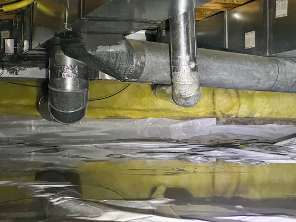 Trusted Fallon, NV Water damage restoration Experts