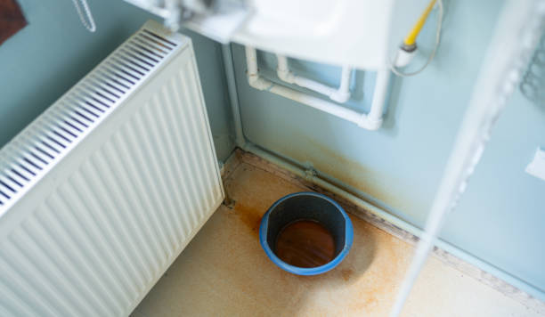 Best Flood restoration services  in Fallon, NV
