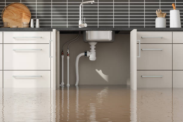 Professional Water damage restoration in Fallon, NV