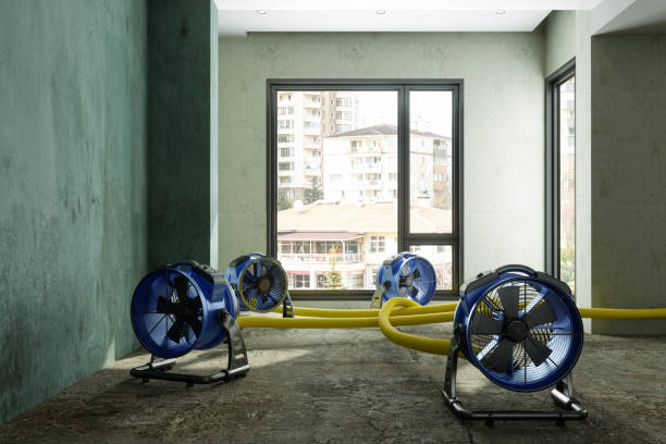 Best Residential water damage restoration  in Fallon, NV