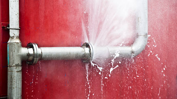 Best Water damage restoration services  in Fallon, NV